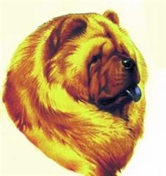 detailed puppy dog machine embroidery pattern - Chow perfect for patchwork quilt blocks