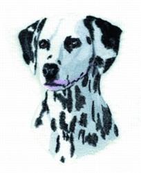 Dalmation - 4x4 puppy dog detailed machine embroidery design for kitchen tea towels