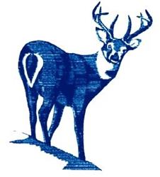 detailed reindeer machine embroidery pattern - Deer for decorative pillow covers