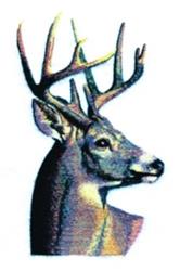 Deer - 5x7 reindeer detailed machine machine embroidery design perfect for Jackets