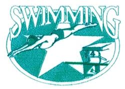 detailed star machine digital embroidery pattern - Diving Star perfect for Swim Gear