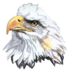 detailed bird machine digital embroidery pattern - Eagle Head perfect for Aprons