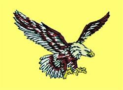 Dynamic eagle in mid-flight with detailed feathers in brown and white, set against a vibrant yellow background.