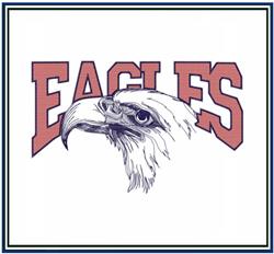 Eagles - 6x10 bird detailed machine machine embroidery design perfect for Hoodies