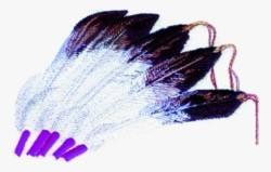Feathers - 5x7 feather detailed machine embroidery design for decorative pillow covers