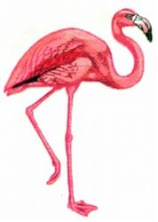 bird detailed machine digital embroidery - Flamingo perfect for reusable tote bags