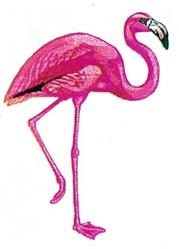 Flamingo - 4x4 bird beginner-friendly embroidery design for Childrens Clothing