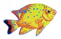 Garibaldi - 5x7 garibaldi detailed machine embroidery design for reusable tote bags