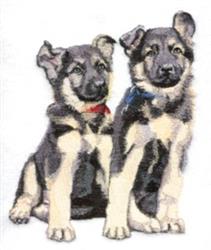 German Shepherd