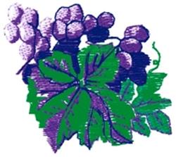 leaf beginner-friendly machine embroidery - Grape Bunch perfect for kitchen tea towels