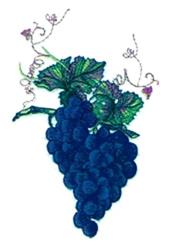 Vibrant grape cluster with glossy dark purple fruit, lush green leaves, and curly tendrils.