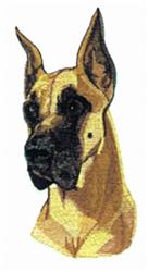 Great Dane
