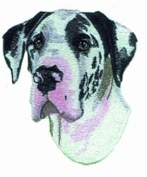 Great Dane