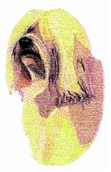 detailed puppy dog machine embroidery pattern - Havanese for decorative pillow covers