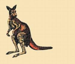 beginner-friendly kangaroo machine embroidery pattern - Kangaroo for Kids Apparel