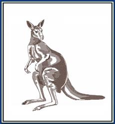 Kangaroo