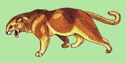 Realistic wildcat with fierce expression, detailed brown and orange fur, vibrant green background.