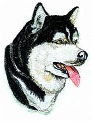 puppy dog detailed machine digital embroidery - Malamute perfect for kitchen tea towels