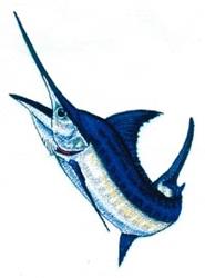marlin detailed machine embroidery - Marlin perfect for decorative pillow covers