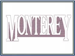 detailed monterey machine embroidery pattern - Monterey for decorative pillow covers