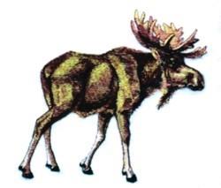 moose detailed machine digital embroidery - Moose perfect for decorative pillow covers