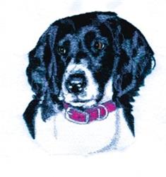 Munsterlander - 4x4 puppy dog detailed machine embroidery design for Pet Portraits