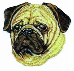 Pug