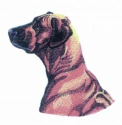Ridgeback