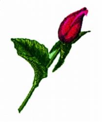 Realistic red rose bud with delicate shading and lush green leaf, showcasing vibrant colors in botanical design.