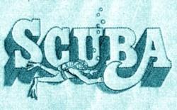 Scuba - 6x10 scuba detailed machine embroidery design for decorative pillow covers