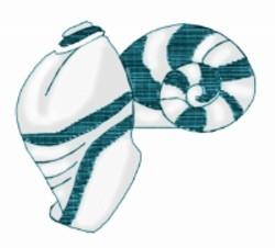 Applique seashell duo featuring a conical and spiral design in bold teal and white colors, showcasing smooth curves.