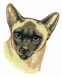 detailed kitten machine embroidery pattern - Siamese perfect for Pet Accessories