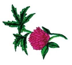 beginner-friendly leaf machine embroidery pattern - Single Clover for Nursery Decor