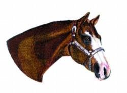 stallion detailed machine digital embroidery - Stallion perfect for kitchen aprons