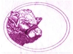Steer Head Oval - oval detailed machine embroidery design perfect for kitchen aprons