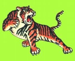 Tiger - 4x4 tiger detailed machine digital embroidery design for reusable tote bags