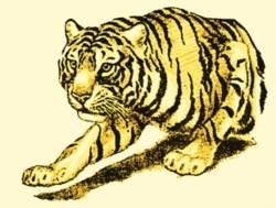Tiger - 6x10 tiger detailed machine embroidery design for patchwork quilt blocks