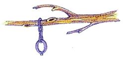 Tree Bough - 4x4 tree quick stitch machine embroidery design for reusable tote bags