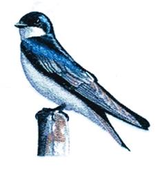detailed bird machine embroidery pattern - Tree Swallow for decorative pillow covers
