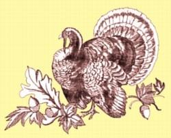 Turkey - bird detailed machine digital unique embroidery design for Table Linens