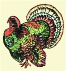 bird beginner-friendly machine embroidery - Turkey perfect for patchwork quilt blocks