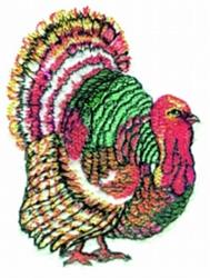 bird detailed machine digital embroidery - Turkey perfect for Seasonal Decor