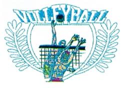 Dynamic volleyball player jumping over a net with vibrant colors and bold 'VOLLEYBALL' text above.