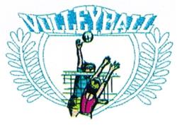 Two volleyball players in action during a sports event, with 'VOLLEYBALL' in bold blue and a laurel wreath.