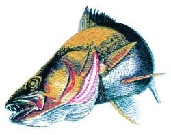 walleye detailed machine digital embroidery - Walleye perfect for Fishing Vests