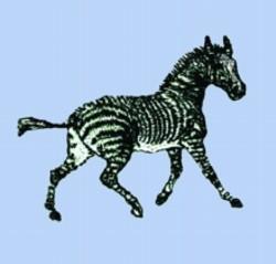 Playful zebra in a dynamic running pose, showcasing black and white stripes against a soft blue backdrop.