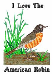 Realistic American Robin in vibrant orange and brown, perched on green grass, celebrating spring.