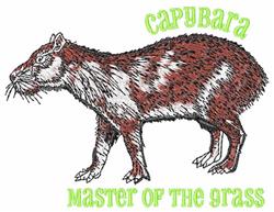 Capybara Master
