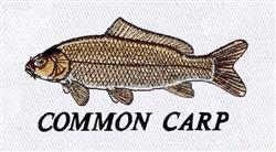 carp detailed machine digital embroidery - Common Carp perfect for kitchen tea towels