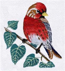 bird detailed machine embroidery - Common Redpoll perfect for decorative pillow covers